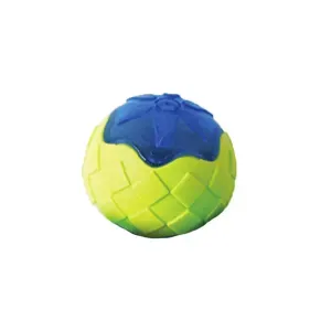 Brinquedo Bola Tex Pets Verde e Azul - Único