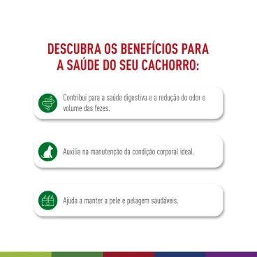 racao-royal-canin-mini-indoor-adult-caes-pequenos-2