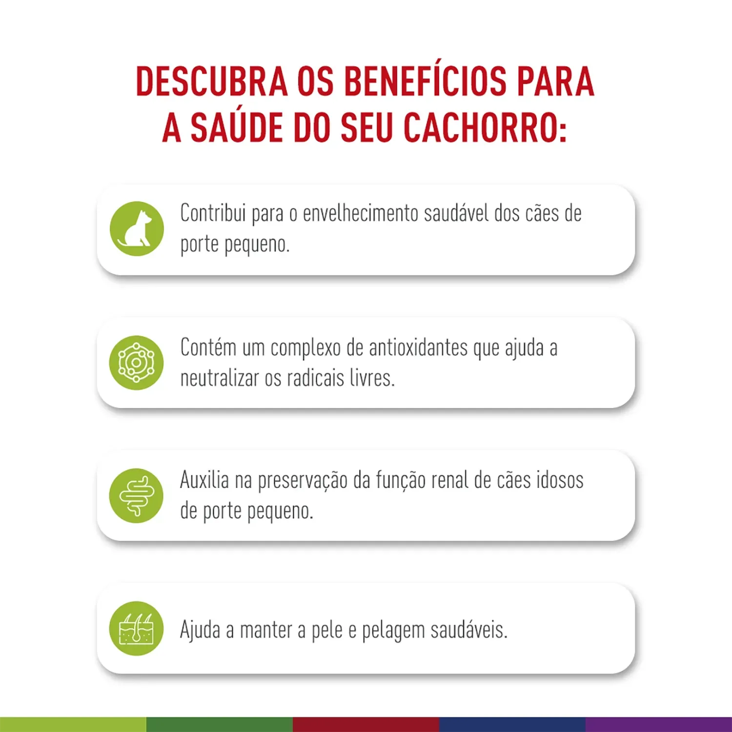 Ração Royal Canin X-Small Ageing 12+ Cães Adultos e Idosos