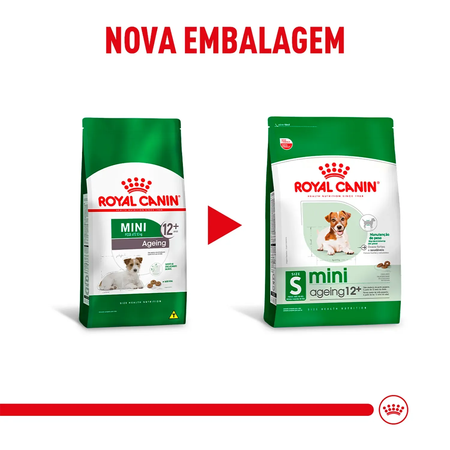 Ração Royal Canin Mini Ageing 12+ Cães Idosos