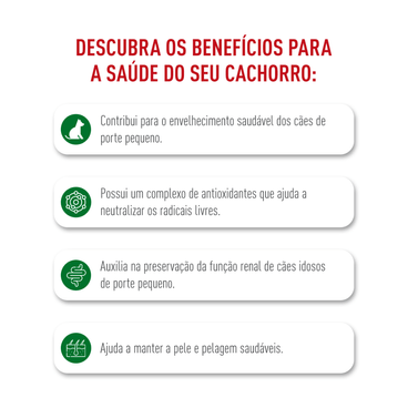 Racao-Royal-Canin-Mini-Ageing-12--Caes-Idosos-beneficios-