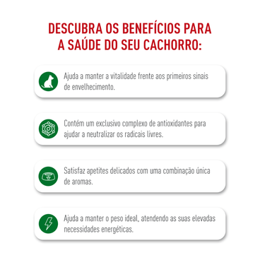 Racao-Royal-Canin-Mini-Adult-8--Caes-Adultos-beneficios-