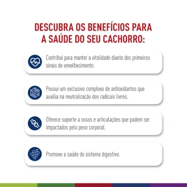 racao-royal-canin-maxi-adult-5-mais-caes-2