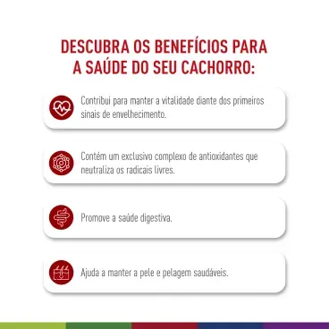 racao-royal-canin-medium-adult-7-mais-caes-adultos-2