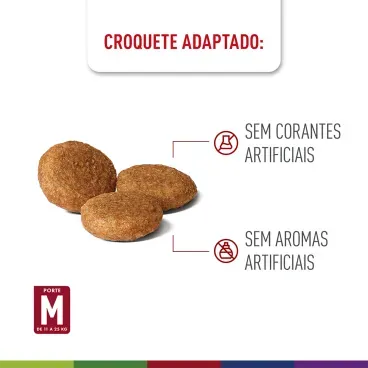 racao-royal-canin-medium-adult-7-mais-caes-adultos-3