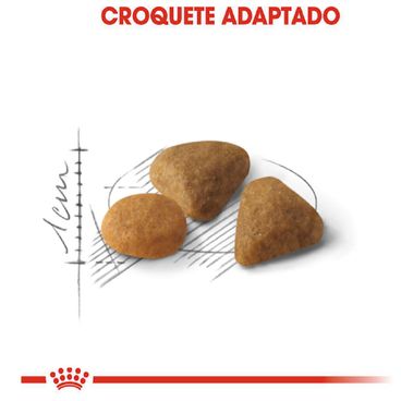 Racao-Royal-Canin-Exigent-para-Gatos-Adultos-com-Paladar-Exigente-graos