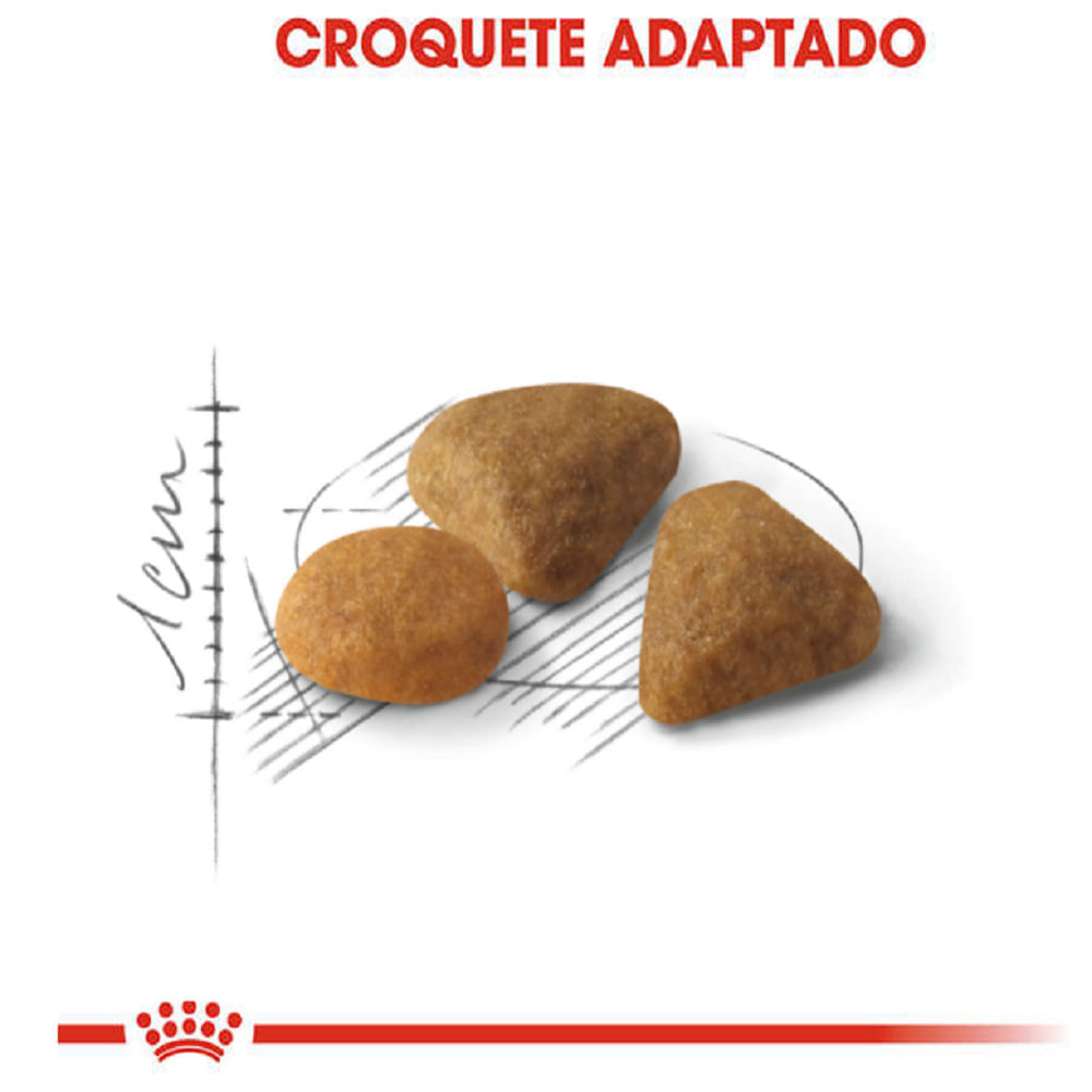 Ração Royal Canin Exigent para Gatos Adultos com Paladar Exigente