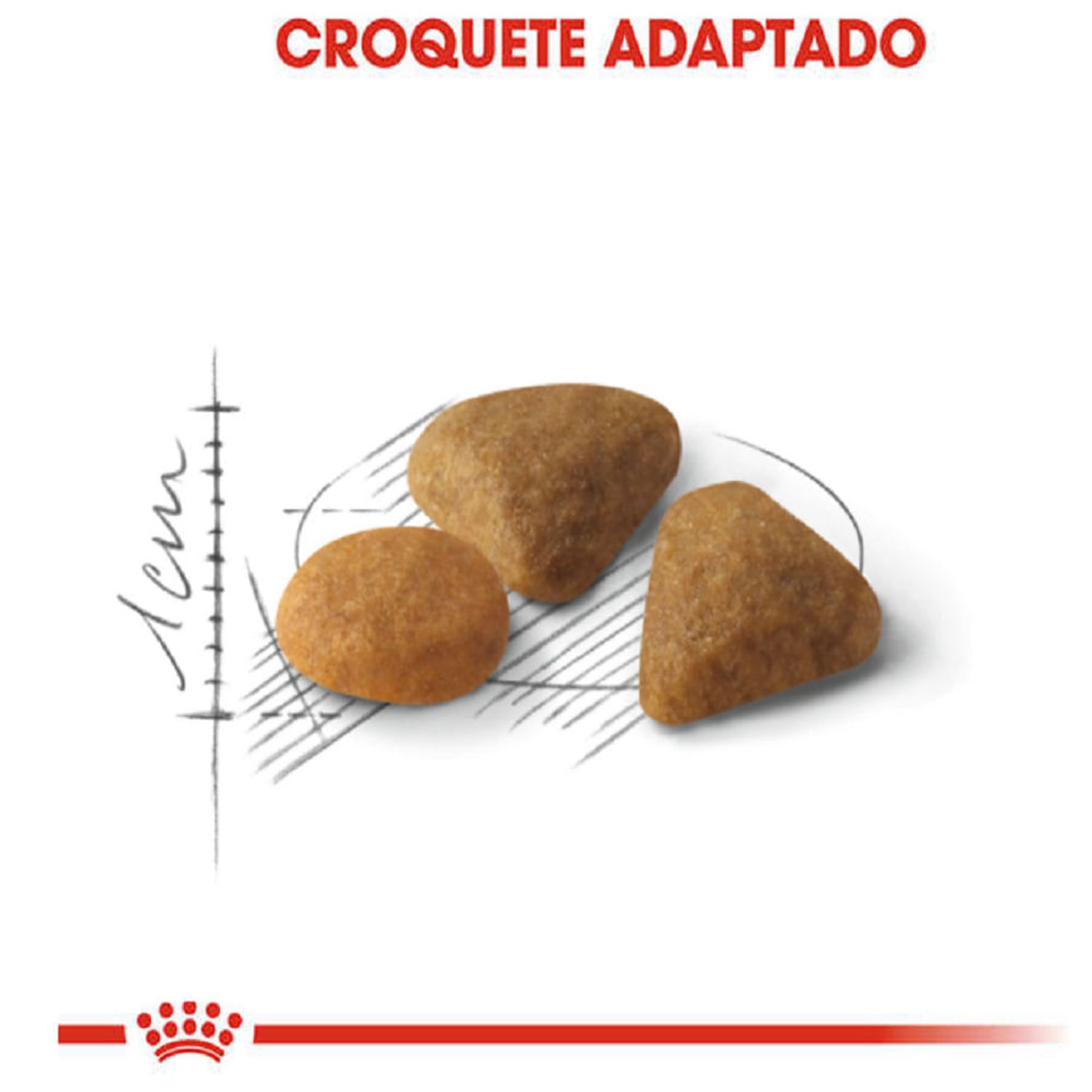 Racao-Royal-Canin-Exigent-para-Gatos-Adultos-com-Paladar-Exigente-graos