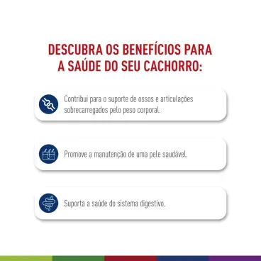 racao-royal-canin-maxi-caes-adultos-grandes-2