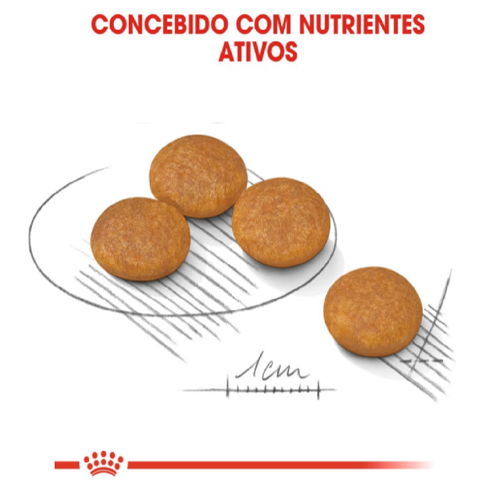 Ração Royal Canin Mini Dermacomfort Cães Adultos e Idosos