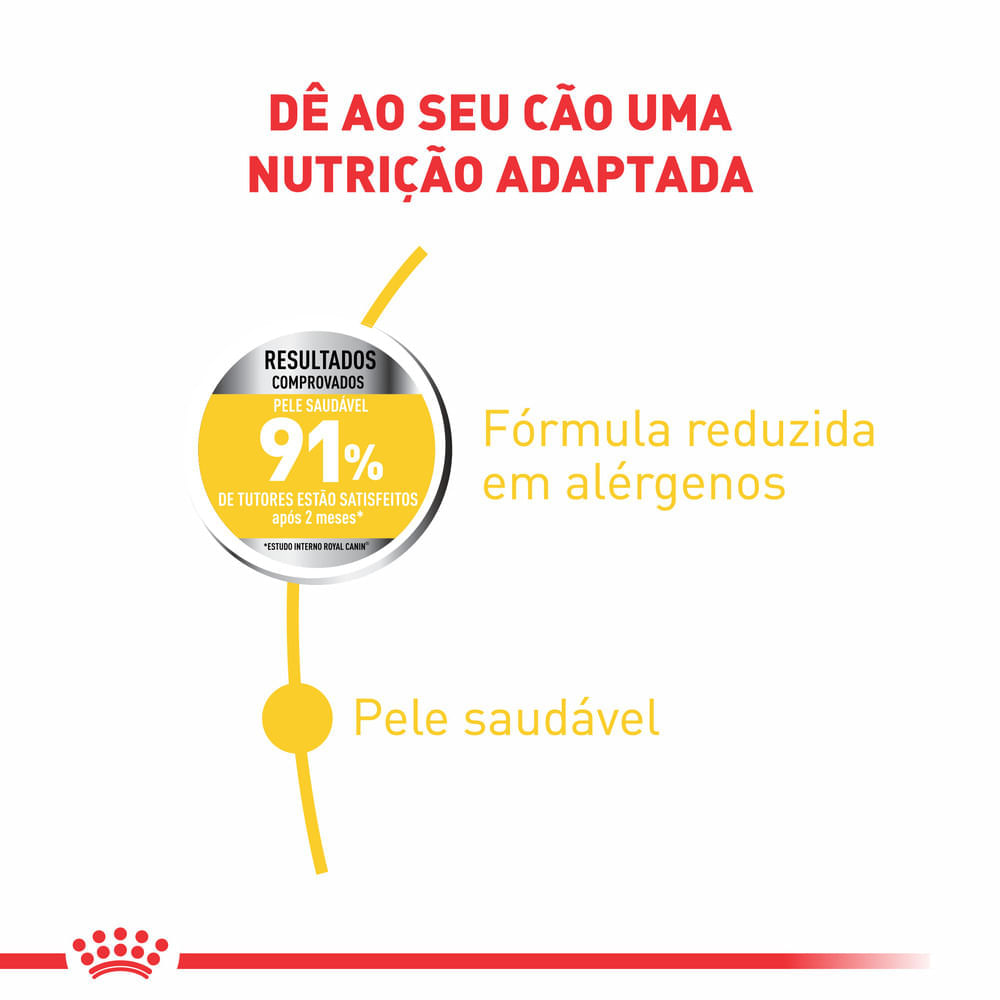 Ração Royal Canin Mini Dermacomfort Cães Adultos e Idosos