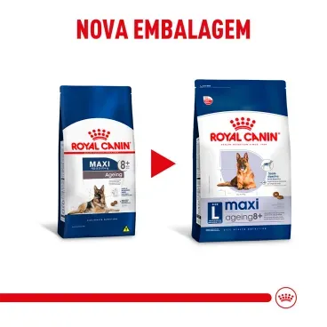 racao-royal-canin-maxi-ageing-8-caes-senior-porte-grande-de-para