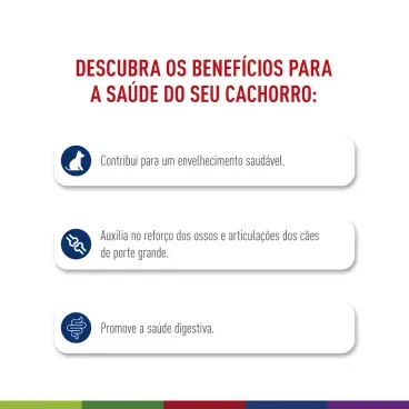 racao-royal-canin-maxi-ageing-8-caes-senior-porte-grande-2