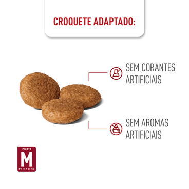 Racao-Royal-Canin-Medium-Adult-para-Caes-Adultos-Porte-Medio-graos-