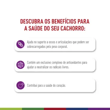 racao-royal-canin-maxi-giant-adulto-2