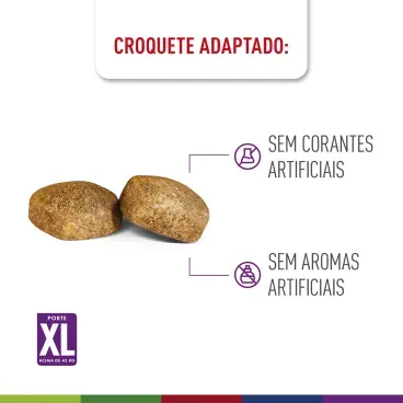 racao-royal-canin-maxi-giant-adulto-3