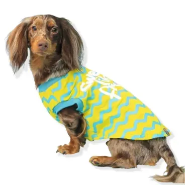 Pet-usando-a-Regata-Fruits-Emporium-Distripet-Verde