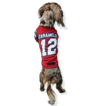 Pet-em-pe-e-de-costas-usando-a-Camiseta-Superbowl-Emporium-Distripet-Vermelha
