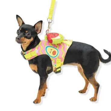 Pet-de-pequeno-porte-usando-o-Peitoral-e-Guia-Fruits-Emporium-Distripet