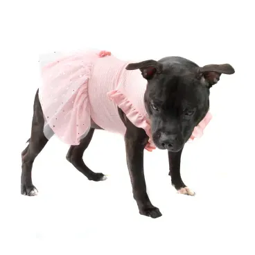 5-vestido-fadinha-rosa-bichino-chic