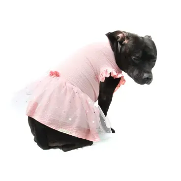 4-vestido-fadinha-rosa-bichino-chic