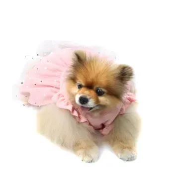 6-vestido-fadinha-rosa-bichino-chic