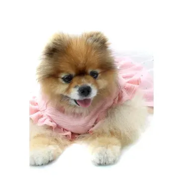 8-vestido-fadinha-rosa-bichino-chic