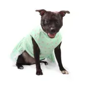 Vestido Lacinhos Bichinho Chic Verde