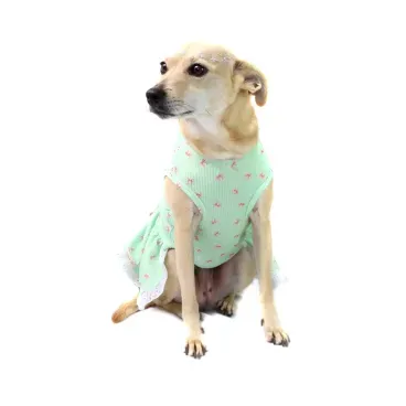 vestido-lacinhos-verde-M-bichino-chic-de-pe-frente