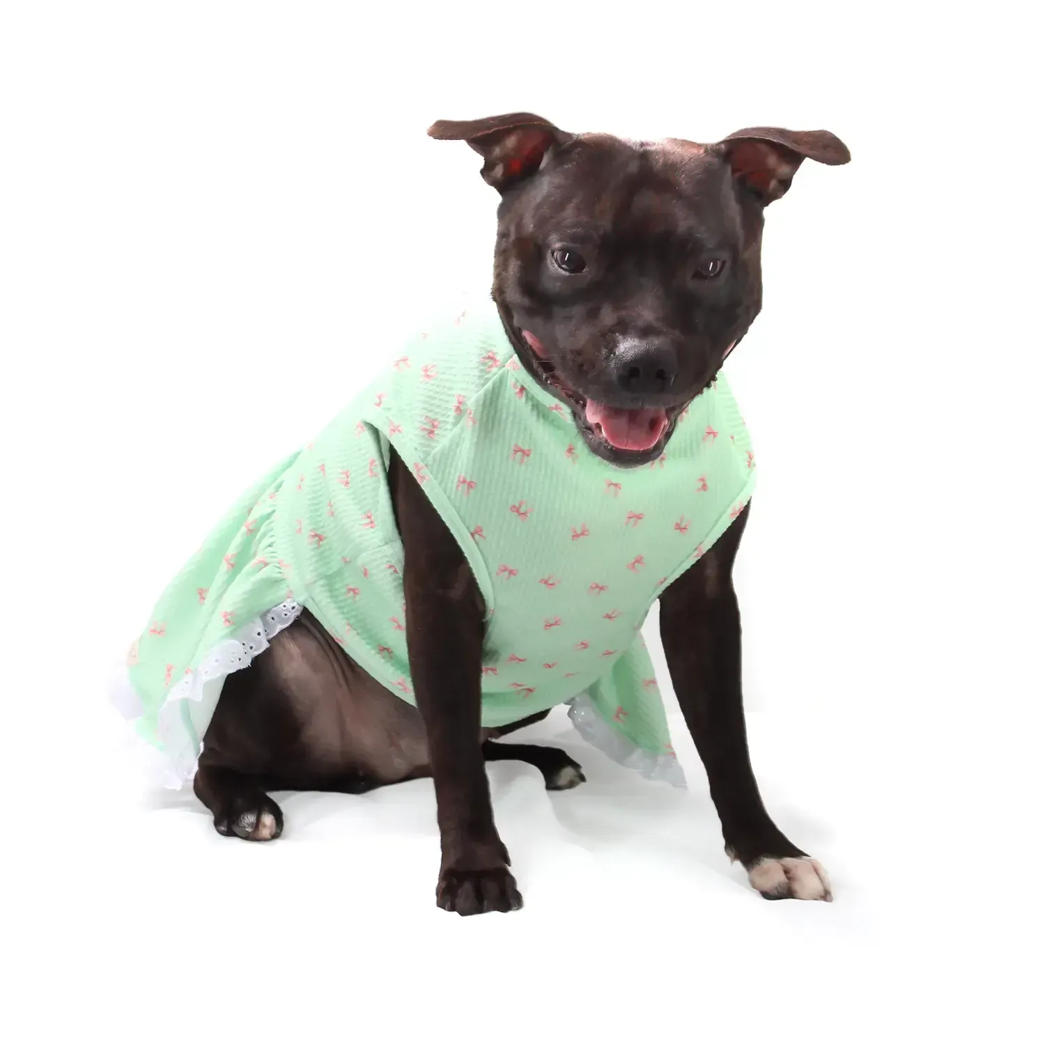 vestido-lacinhos-verde-PP-bichino-chic