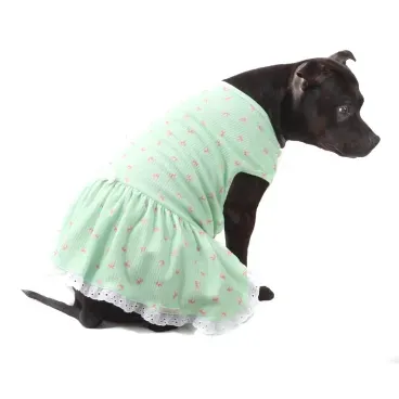vestido-lacinhos-verde-PP-bichino-chic-pet-de-costa