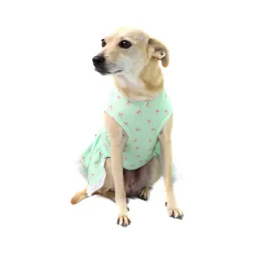 vestido-lacinhos-verde-PP-bichino-chic-de-pe-frente