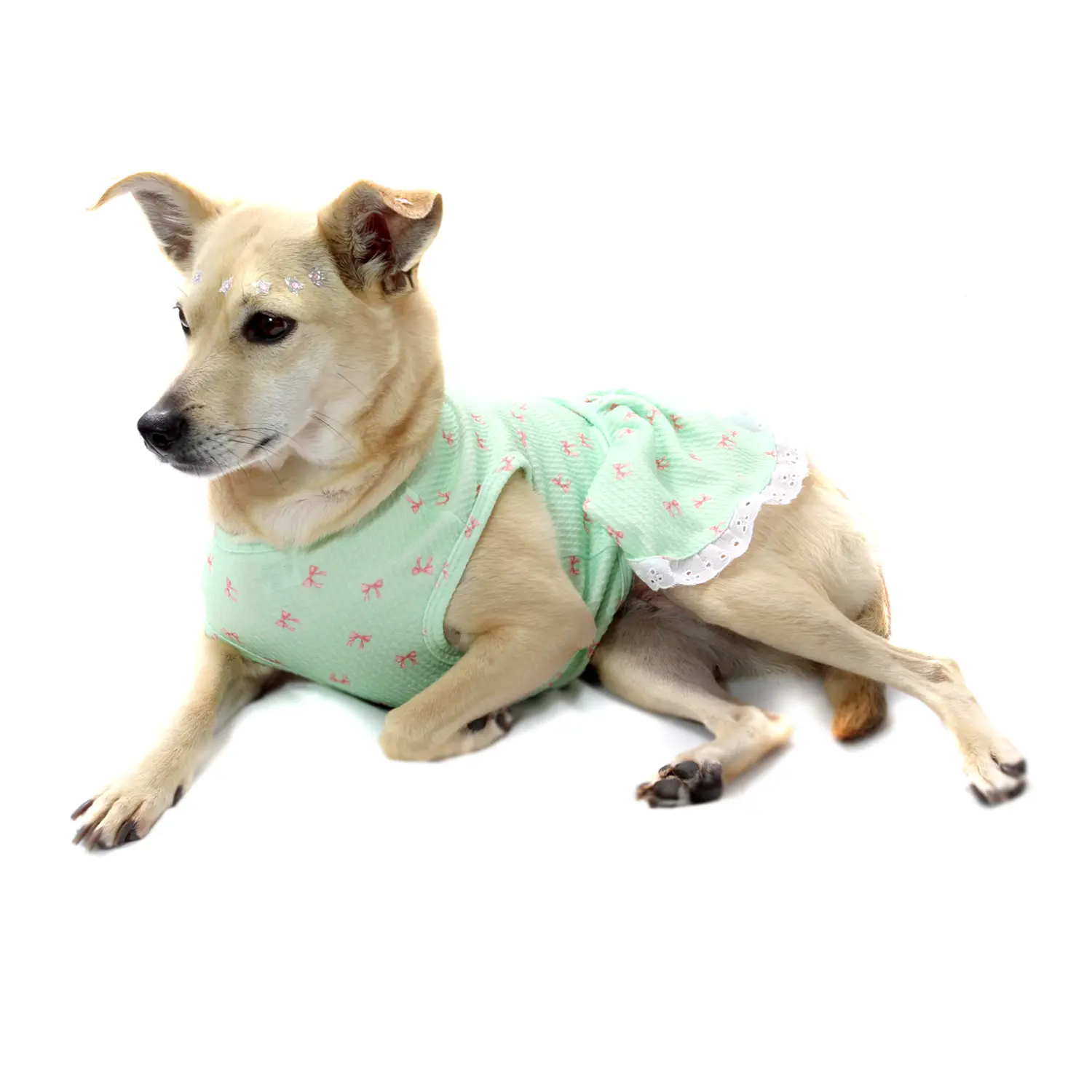 vestido-lacinhos-verde-PP-bichino-chic-pet-deitado