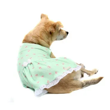 vestido-lacinhos-verde-PP-bichino-chic-pet-deitado-de-costa