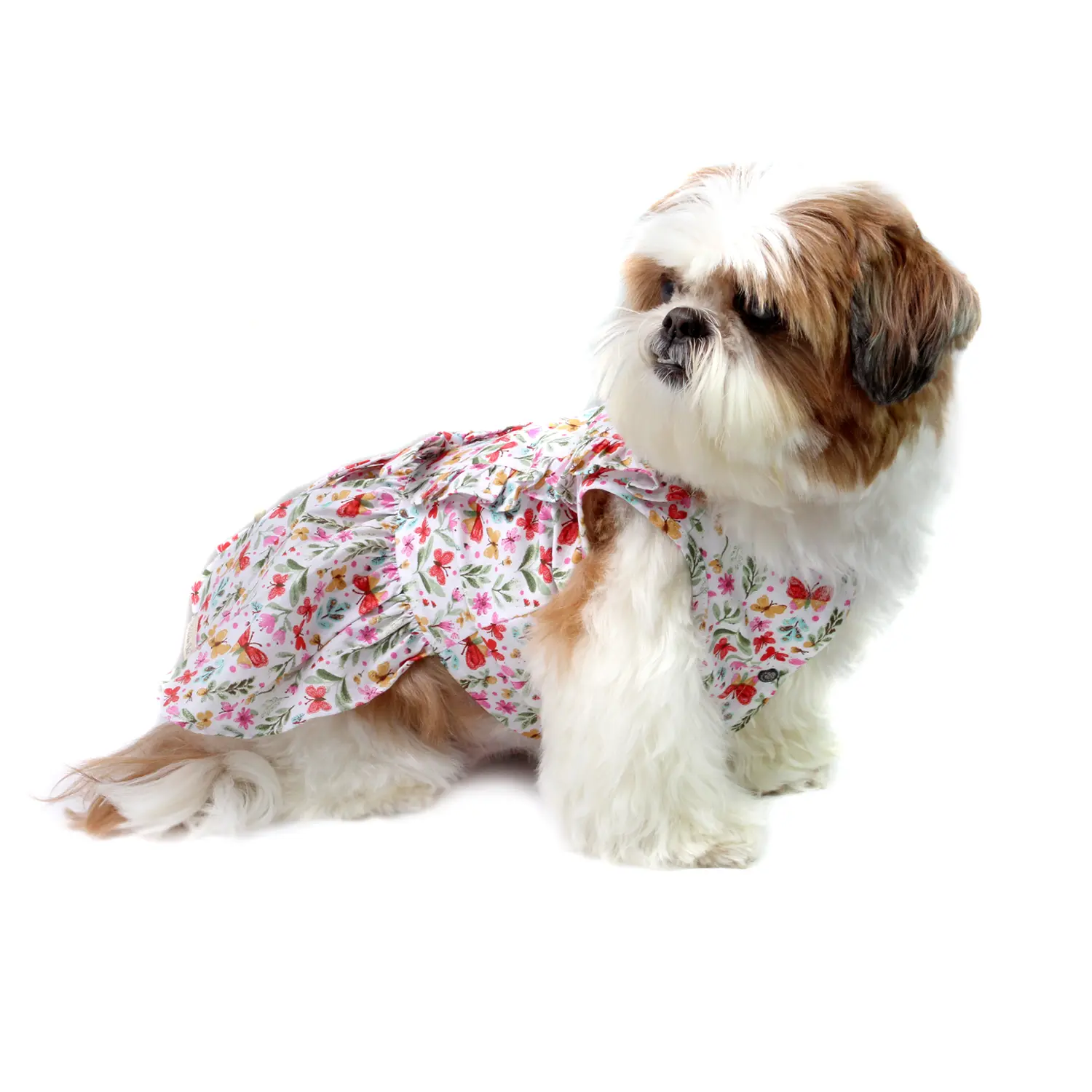 vestido-borboletas-bege-PP-bichinho-chic-com-o-pet-de-lado