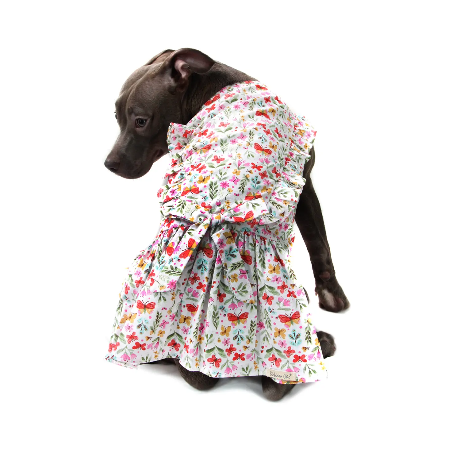 vestido-borboletas-bege-PP-bichinho-chic-pet-grande-de-costa-