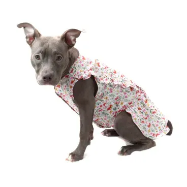 vestido-borboletas-bege-G-bichinho-chic-pet-grande