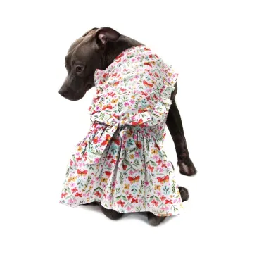 vestido-borboletas-bege-G-bichinho-chic-pet-grande-de-costa-