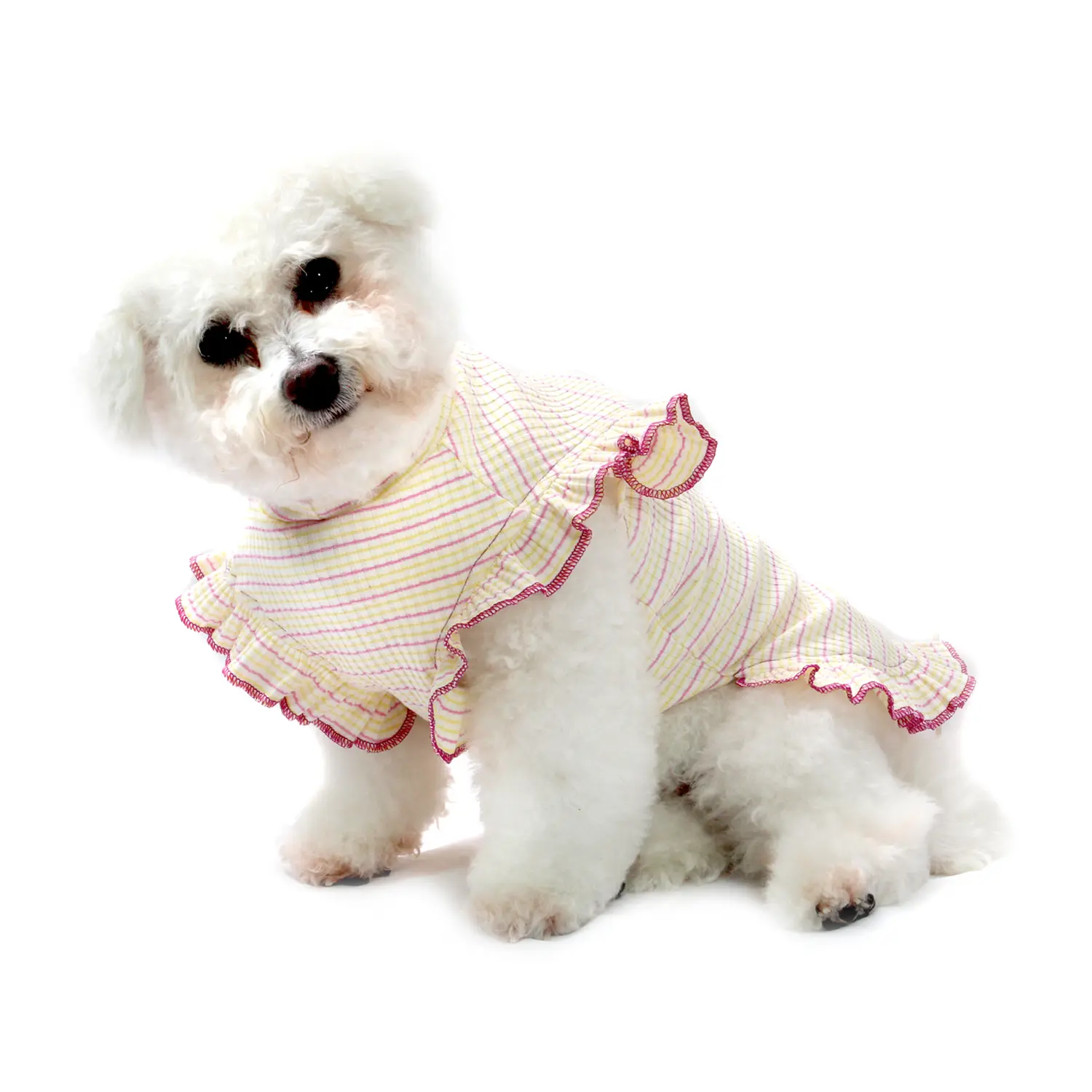 Vestido Encanto Bichinho Chic Roxo