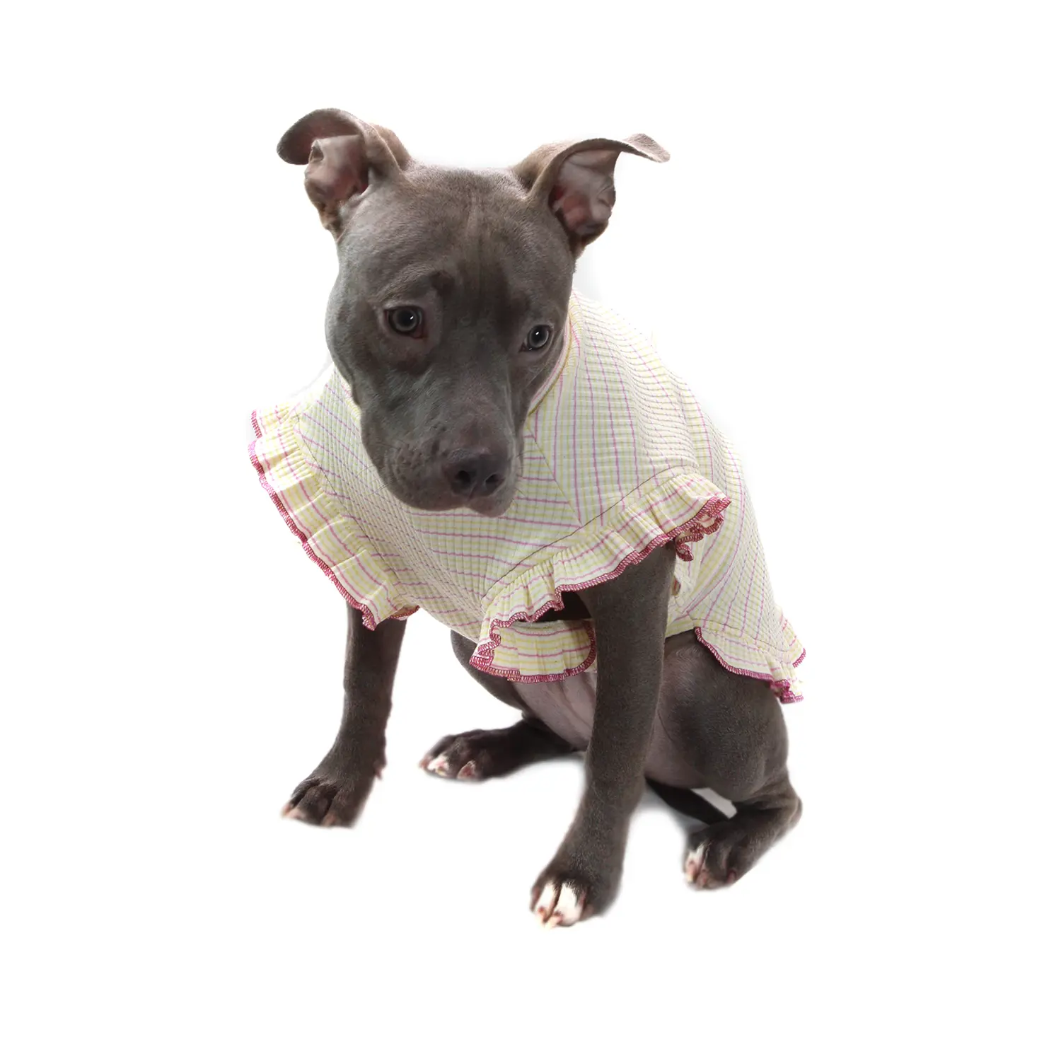 Vestido Encanto Bichinho Chic Roxo