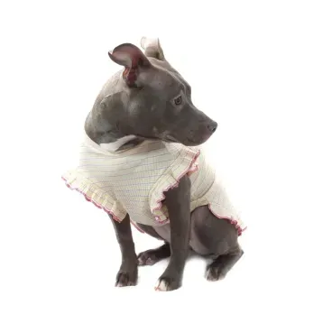 3-vestido-encanto-roxo-bichinho-chic