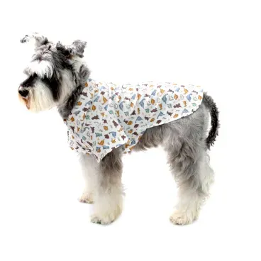 5-camisa-dinossauro-bege-bichinho-chic