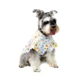 Camisa Planetas Bichinho Chic Branca