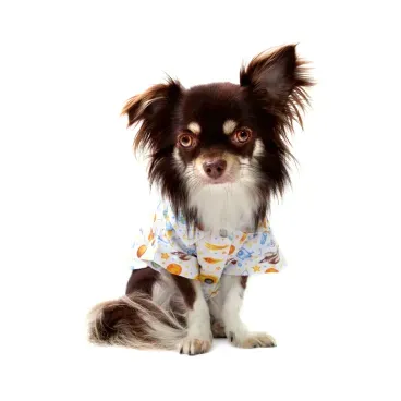 10-camisa-planetas-branca-bichinho-chic