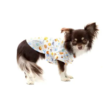 9-camisa-planetas-branca-bichinho-chic