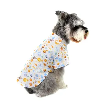 8-camisa-planetas-branca-bichinho-chic