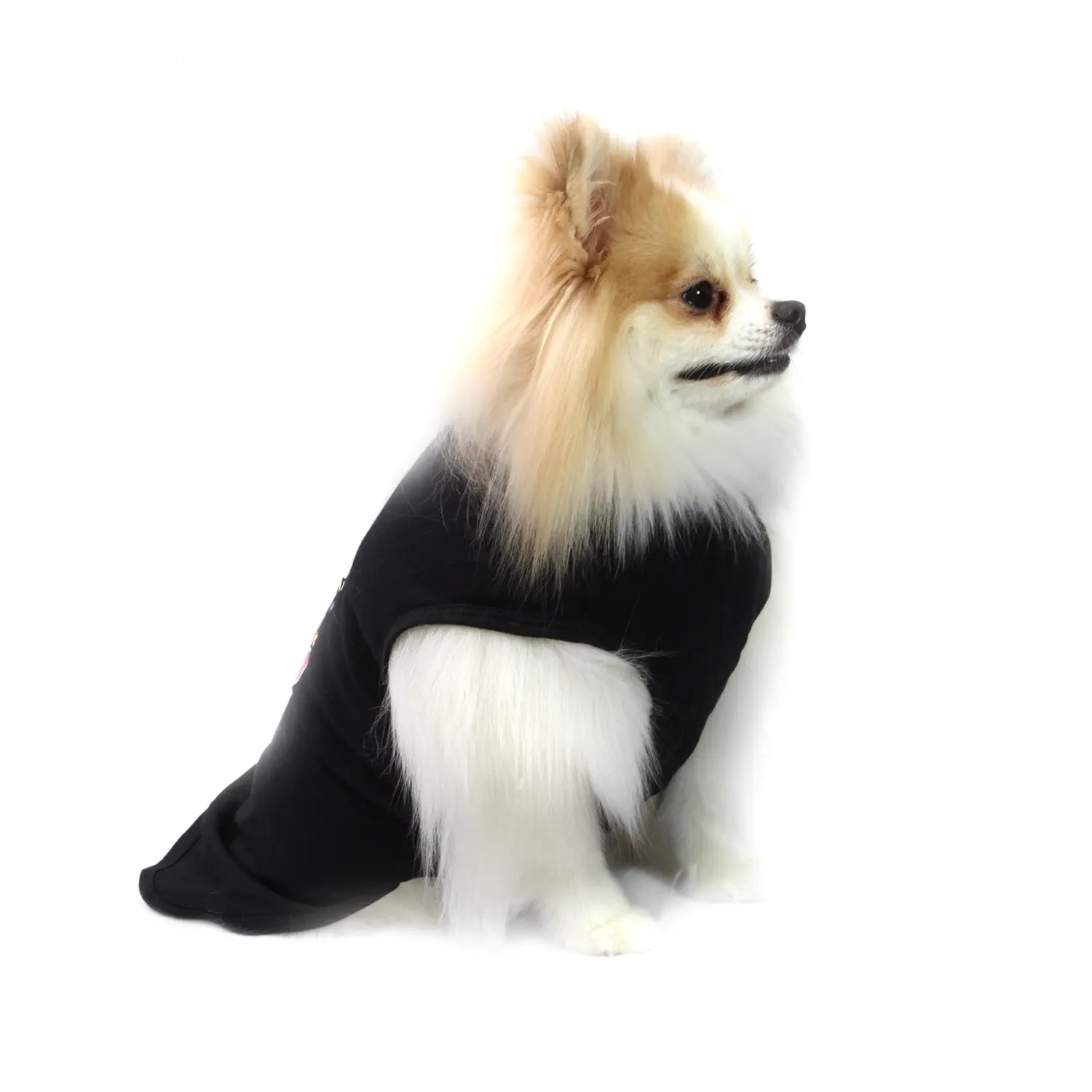 camiseta-pride-PP-preta-bichinho-chic-pet-pequeno-de-frente
