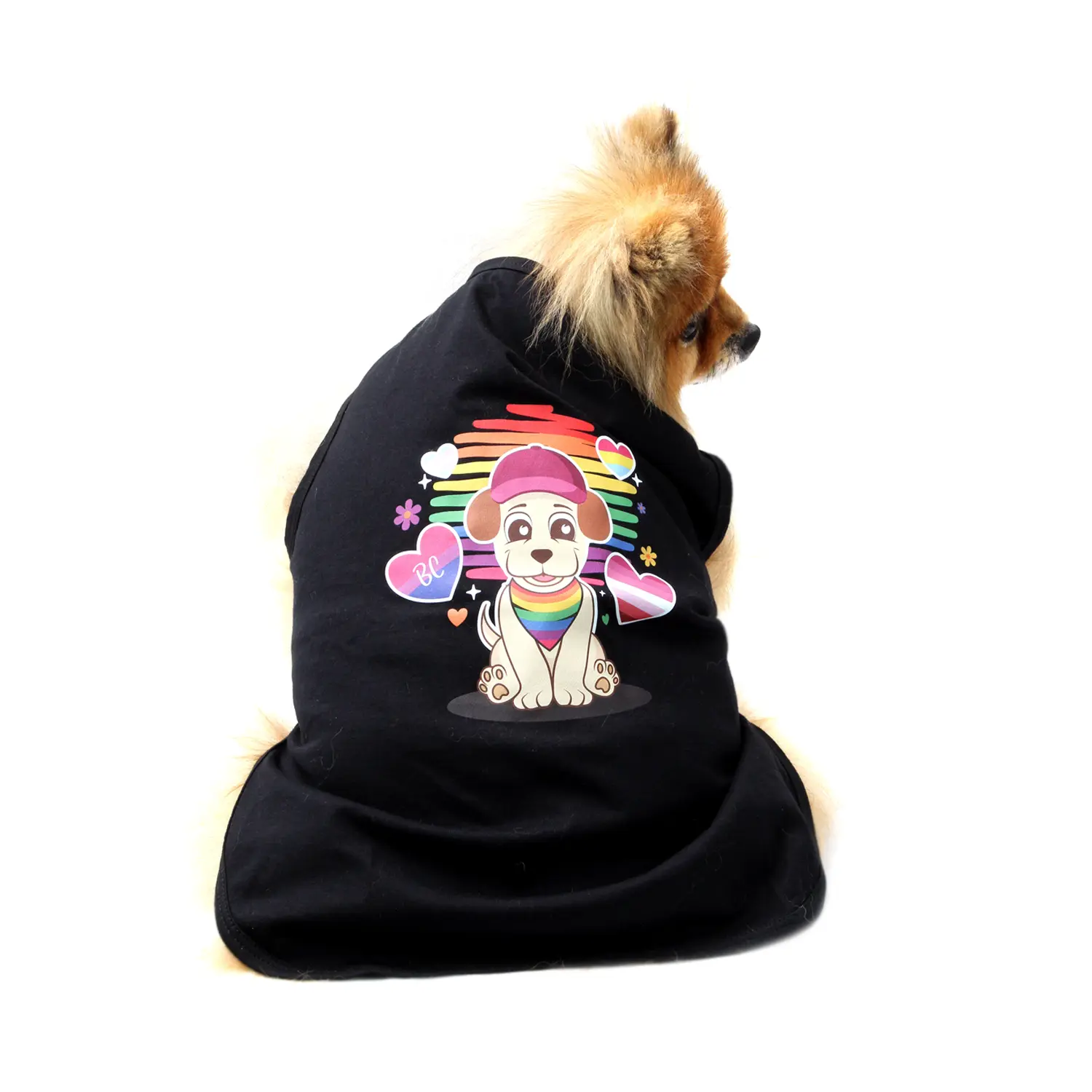 camiseta-pride-PP-preta-bichinho-chic-pet-pequeno-de-costa
