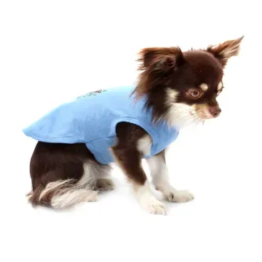 11-camiseta-musica-azul-bichinho-chic