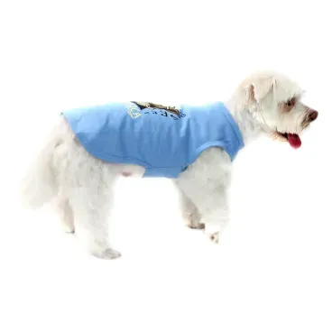 6-camiseta-musica-azul-bichinho-chic